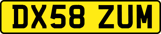 DX58ZUM