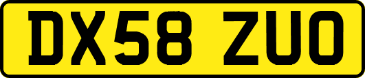 DX58ZUO