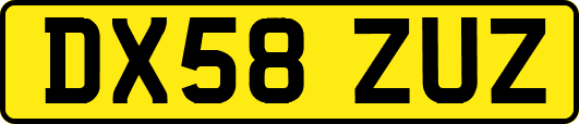 DX58ZUZ