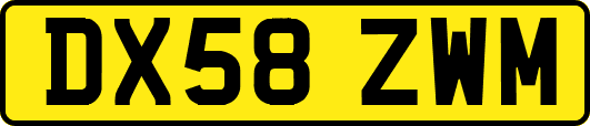 DX58ZWM