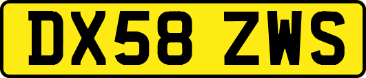 DX58ZWS