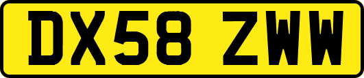 DX58ZWW