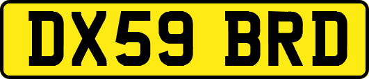 DX59BRD