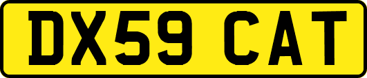DX59CAT