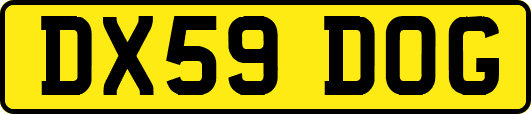 DX59DOG
