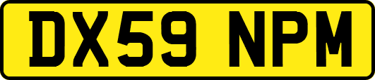 DX59NPM