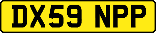 DX59NPP