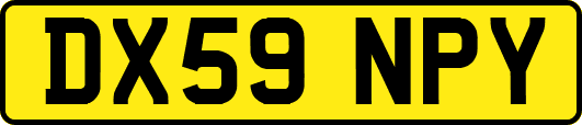 DX59NPY