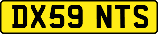 DX59NTS