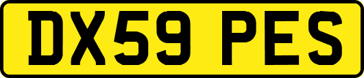 DX59PES