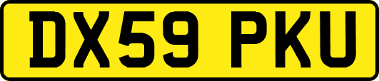 DX59PKU