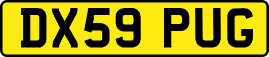 DX59PUG