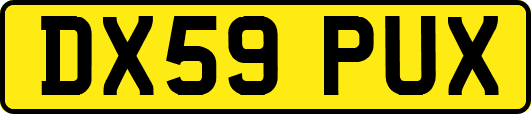 DX59PUX