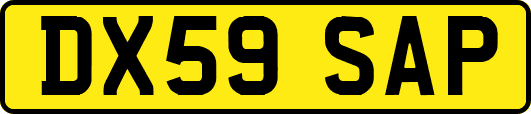 DX59SAP