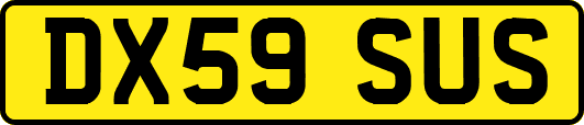 DX59SUS