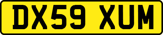 DX59XUM