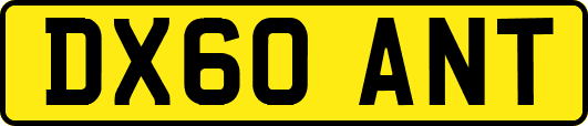 DX60ANT