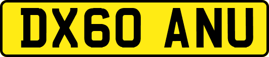 DX60ANU