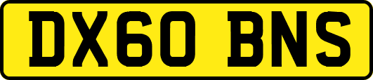 DX60BNS