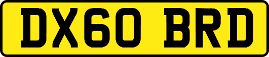 DX60BRD