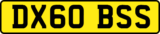 DX60BSS