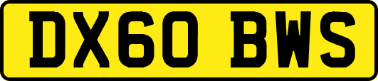 DX60BWS