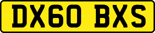DX60BXS