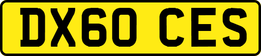 DX60CES