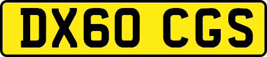 DX60CGS