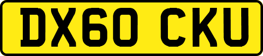 DX60CKU