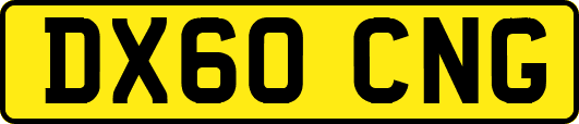 DX60CNG