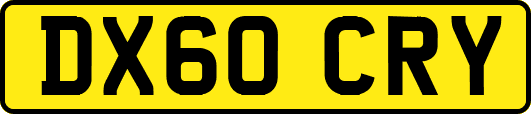 DX60CRY