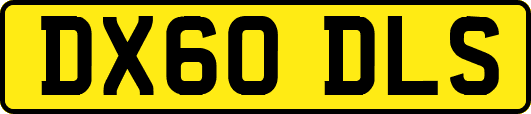 DX60DLS