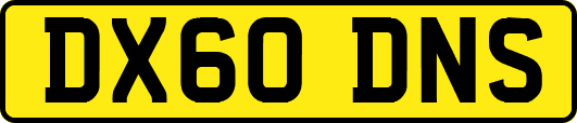 DX60DNS