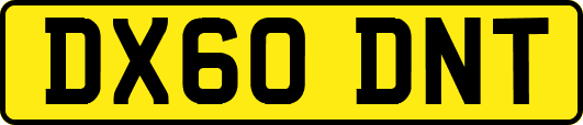 DX60DNT