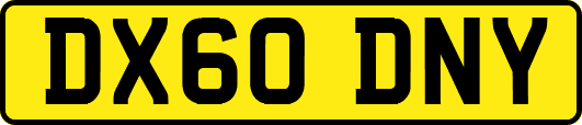 DX60DNY
