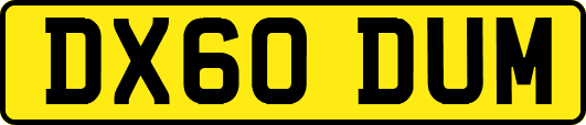 DX60DUM