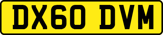 DX60DVM