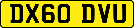 DX60DVU