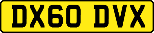 DX60DVX