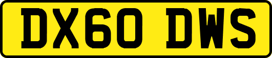DX60DWS