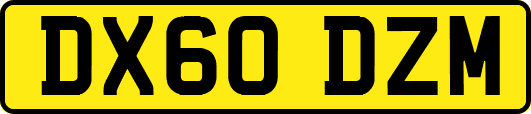 DX60DZM