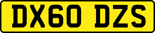 DX60DZS