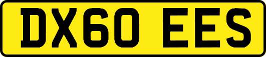 DX60EES