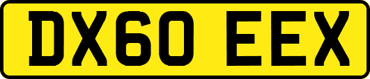 DX60EEX