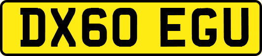 DX60EGU