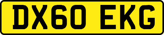 DX60EKG