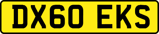 DX60EKS