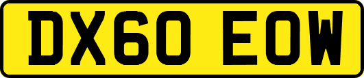DX60EOW