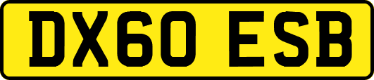 DX60ESB